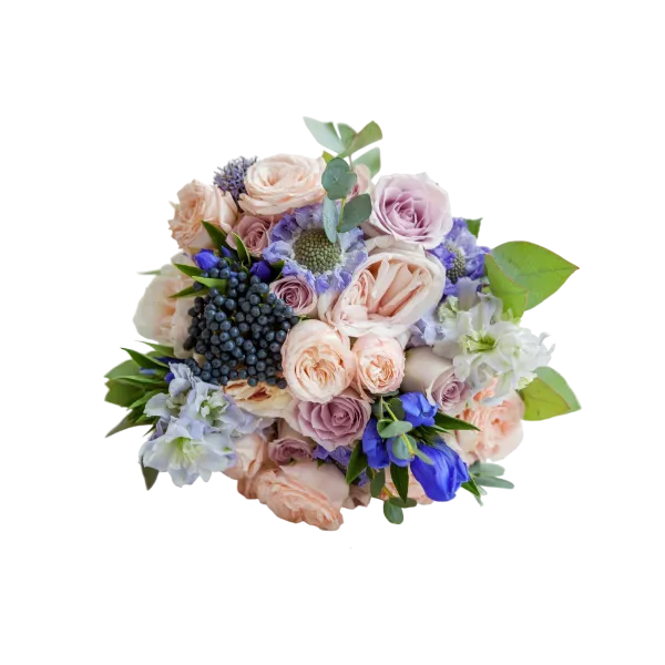 プチギフトのサムネイル画像