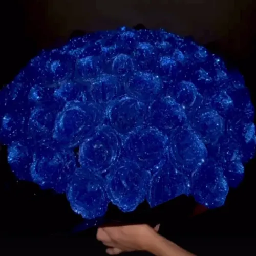 ジュエリーローズ80本のサイズ感